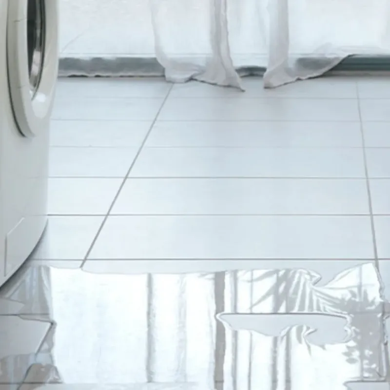 Appliance Leak Cleanup in Chenoa, IL