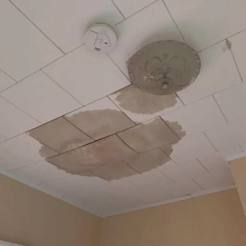 Ceiling Water Damage Repair in Chenoa, IL