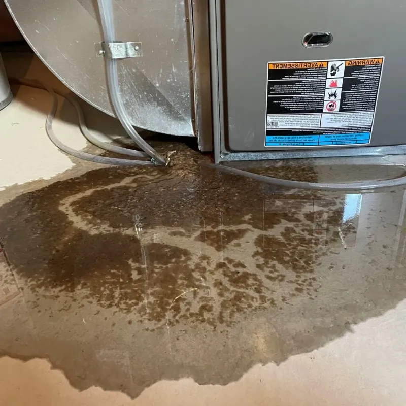 Pipe Burst and Leak Restoration in Chenoa, IL