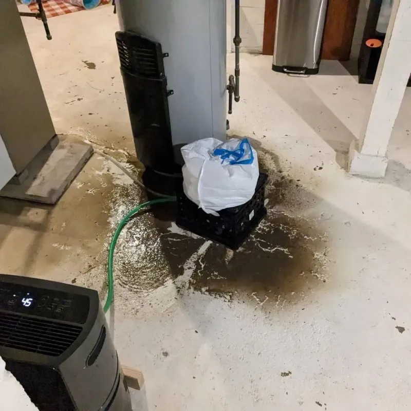 Sewage Backup Cleanup Service in Chenoa, IL